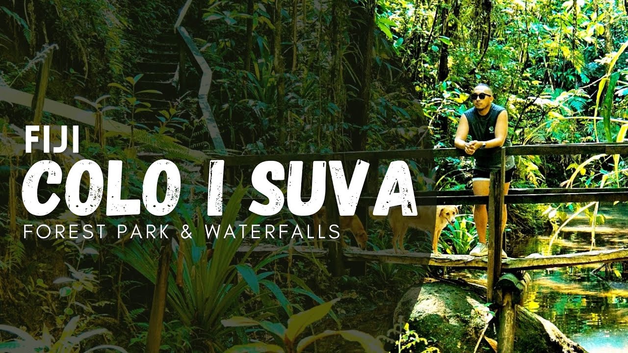 Colo I Suva - Forest Park & Waterfalls | Fiji