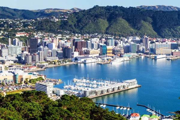 Wellington: A Capital Cultural da Nova Zelândia