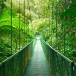 Monteverde: O Tesouro Ecológico da Costa Rica