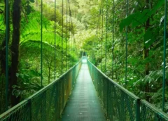 Monteverde: O Tesouro Ecológico da Costa Rica