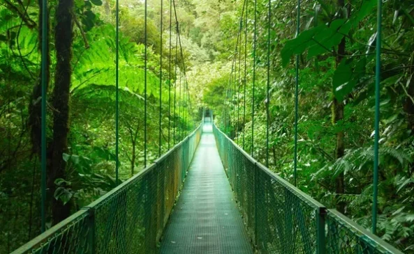 Monteverde: O Tesouro Ecológico da Costa Rica
