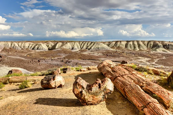 Petrified Forest National Park