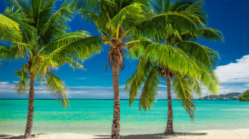 4 em Fiji Suva: O coração da Fiji