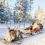 Lapónia: Terra do Pai Natal