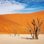 Viagens ao Insólito e Peculiar