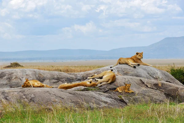 Serengeti na Tanzânia