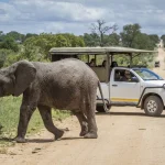 Aventuras em África: Passeios de Todo-o-Terreno