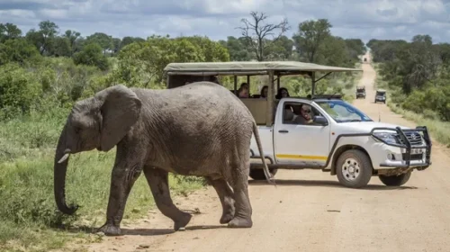 7 em África Aventuras em África: Passeios de Todo-o-Terreno