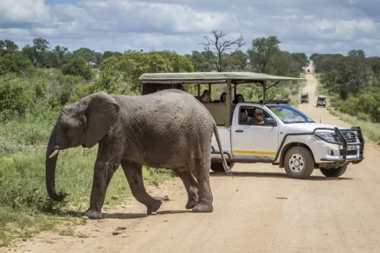 Aventuras em África: Passeios de Todo-o-Terreno