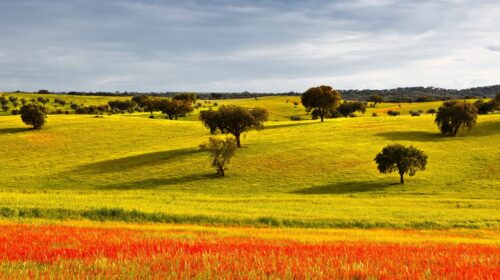 3 em Portugal Tradições do Alentejo: a rica cultura e gastronomia da região