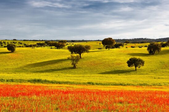 Tradições do Alentejo: a rica cultura e gastronomia da região