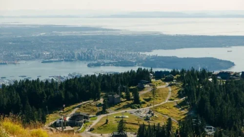 6 em América Vida Selvagem em Vancouver