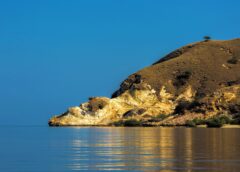 Descobrir Komodo: visite o Parque Nacional