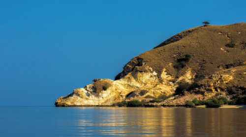 3 em Ásia Descobrir Komodo: visite o Parque Nacional