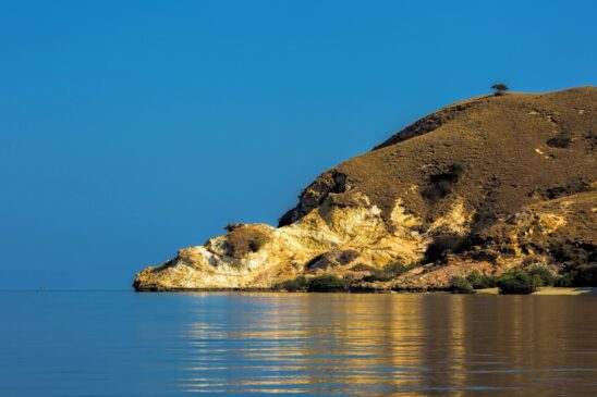 Descobrir Komodo: visite o Parque Nacional