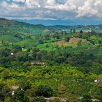 3 em América Viagem à Colômbia: a experiência única de descobrir a história e o processo do café colombiano