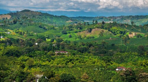 Viagem à Colômbia: a experiência única de descobrir a história e o processo do café colombiano