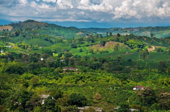 Viagem à Colômbia: a experiência única de descobrir a história e o processo do café colombiano
