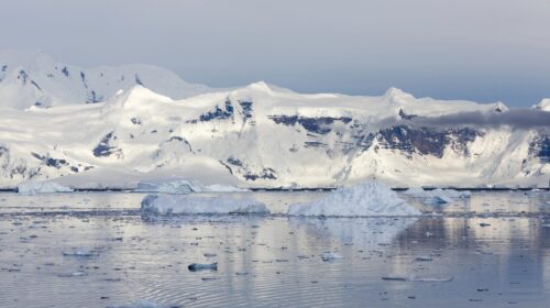 Cruzeiros de Expedição na Antártica: Uma Aventura Inesquecível