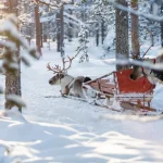 10 Experiências Inusitadas para um Natal Diferente