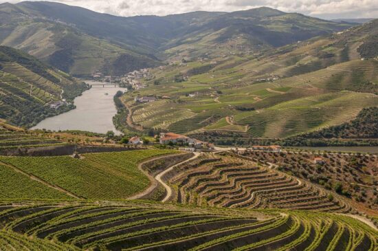 Vinhos & Viagens: Destinos Perfeitos para Enófilos