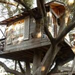 Dormir Numa Casa na Árvore: Experiências Incríveis em Contacto com a Natureza