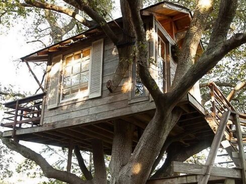 Dormir Numa Casa na Árvore: Experiências Incríveis em Contacto com a Natureza