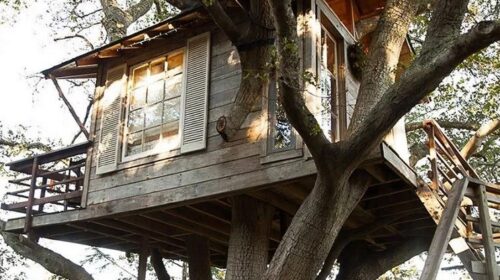 4 em Portugal Dormir Numa Casa na Árvore: Experiências Incríveis em Contacto com a Natureza