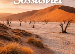 Sossusvlei: Deslumbrantes Dunas Imperdíveis!