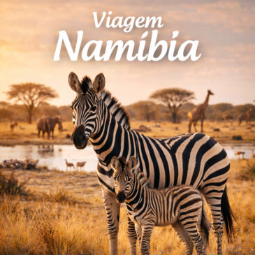 Viagem Namíbia: Dicas Imperdíveis e Exclusivas