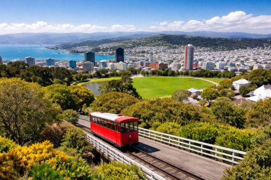 Wellington: Cultura Incrível e Gastronomia Imperdível